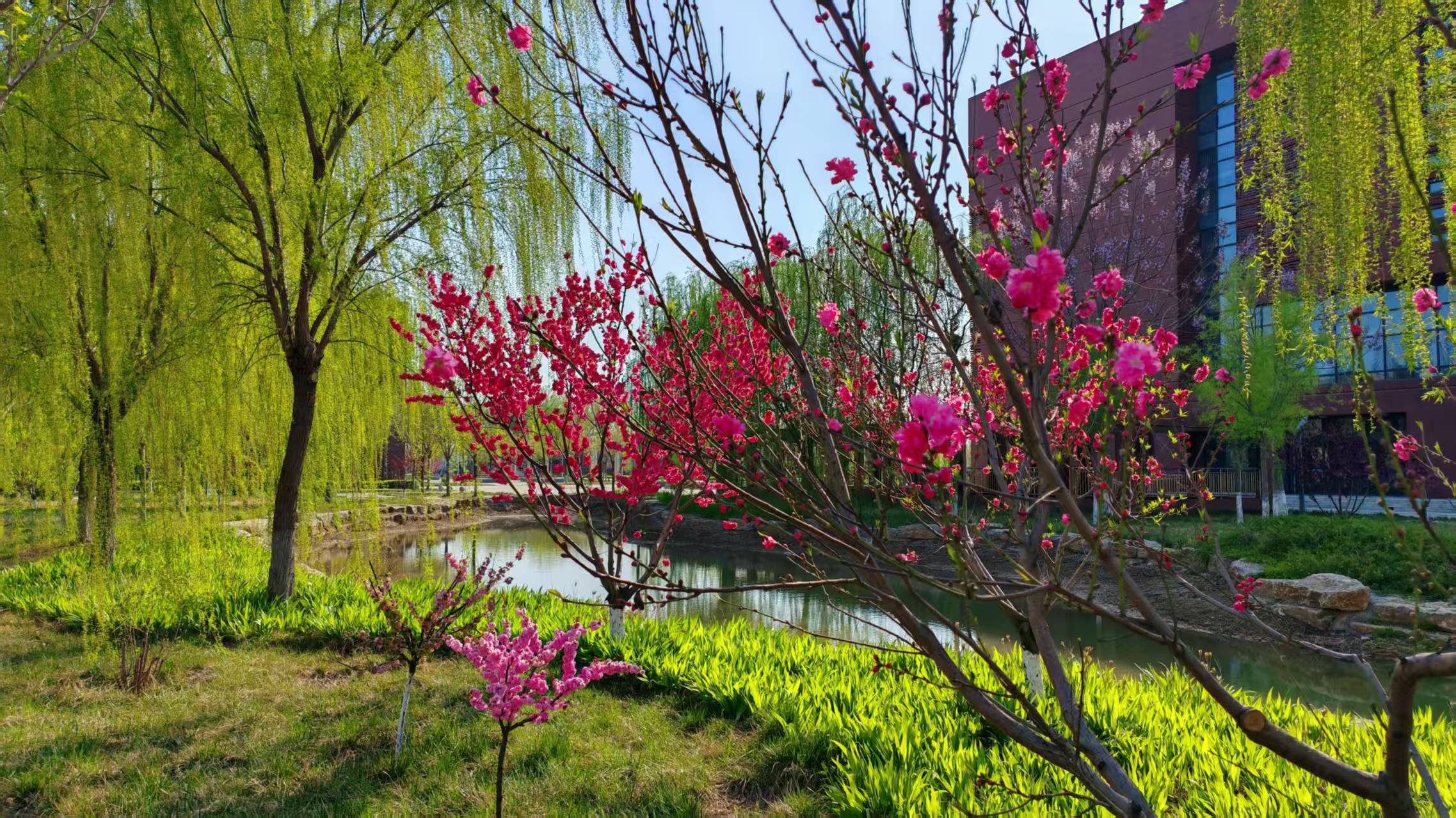 春和景明